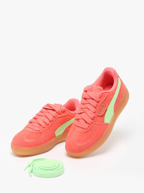 Sneakers Palermo Moda Xtra Gum In Leather Puma Multicolor women 40032305 other view 3