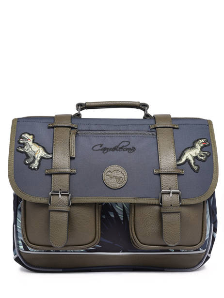 Satchel 2 Compartments Cameleon Gray vintage urban 27