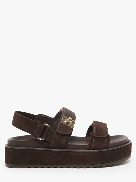 Sandales Bigmona En Cuir Steve madden Marron women 11003034
