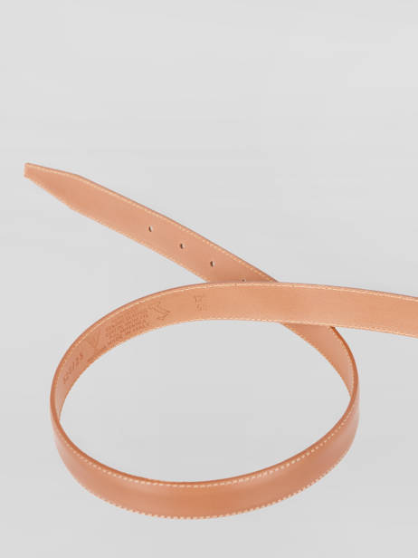 Ceinture Petit prix cuir Marron belt 25 vue secondaire 2